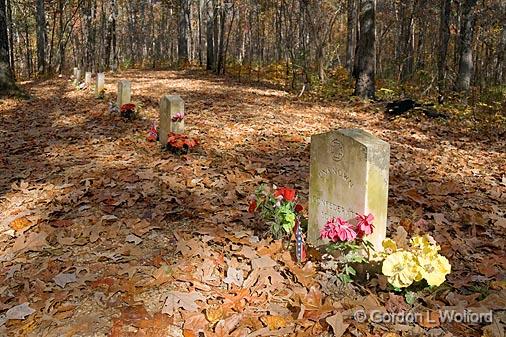 Unknown Soldiers_24992.jpg - Graves of thirteen unknown Confederate soldiers photographed along the Natchez Trace in Mississippi, USA.